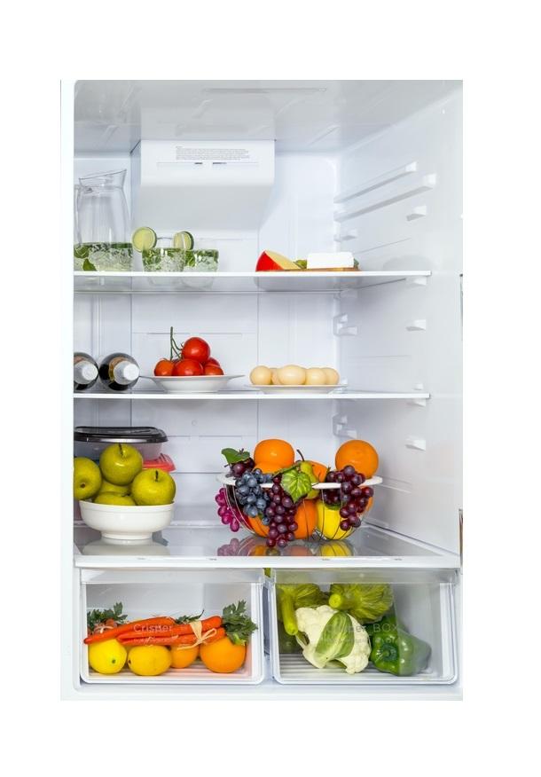 Forte 30 Inch Freestanding Top Freezer Refrigerator inside View